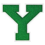 GROZON 11,5 cm Letterman Mektupları Şönil İşlemeli Yama Varsity Mektup Yamaları Giyim Ceketler Spor Giyim Kot Çantaları için Ütü Üzerine Mektup Yamaları (Yeşil, Y)