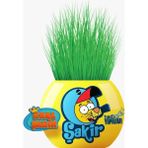 Grultu Çim Adam Figür Kral Şakir Şakir Hadi Yapalım, Cocopeat & Torflu Toprak, İngiliz Çimi, Kedi Otu KRS15