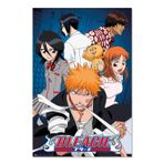 Grupo Erik Bleach Manga Poster - 91,4 cm x 61,0 cm - Rulo halinde gönderim - Havalı poster, sanat posteri, duvar posteri ve baskılar
