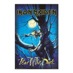 Grupo Erik Iron Maiden Fear Of The Dark Poster - 35.8 x 24.2 inç - Shipped Roll-up - Havalı Poster - Sanat Posteri - Poster ve Baskılar - Duvar Posteri