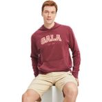 GS Store 12270179 Galatasaray Bordo Erkek Sweatshirt