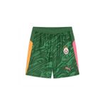 Gs Store 78074480 Galatasaray Puma 2025/2026 Kaleci Yeşil Şort