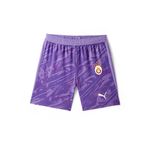Gs Store 78074581 Galatasaray Puma 2025/2026 Kaleci Mor Şort