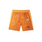 Gs Store 78074582 Galatasaray Puma 2025/2026 Kaleci Sarı Şort