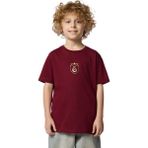 Gs Store Galatasaray 5 Yıldız Çocuk T-Shirt C251393 - Bordo - 7 - 8 Yaş