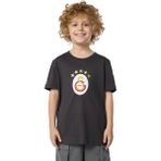 Gs Store Galatasaray 5 Yıldız Çocuk T-Shirt C251402 - Antrasit - 7 - 8 Yaş