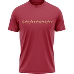 Gs Store Galatasaray 5 Yıldız T-Shirt E251501 - Kırmızı - XL