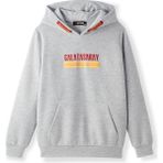 Gs Store Galatasaray Çocuk Hoodie C252072 - Gri Melanj - 13 - 14