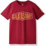 Gs Store Galatasaray Çocuk T-Shirt C252097 - Bordo - 11 - 12 Yaş