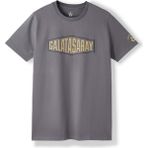 Gs Store Galatasaray Erkek T-Shirt E252097 - Antrasit - XL