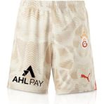 GS Store Galatasaray Puma 2024/2025 Kaleci Gri Şort 77967506 - XS