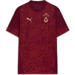 Gs Store Galatasaray Puma A Takım Antrenman T-Shirt 78288403 - Kırmızı