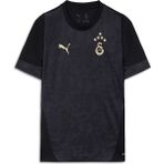 Gs Store Galatasaray Puma A Takım Antrenman T-Shirt 78288410 - Siyah - 3XL