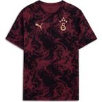 Gs Store Galatasaray Puma A Takım Antrenman T-Shirt 78290003 - Kırmızı - XL