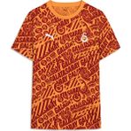 Gs Store Galatasaray Puma Culture T-Shirt 78291706 - Sarı - 2XL