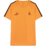 Gs Store Galatasaray Puma King T-Shirt 78292406 - Sarı - XL