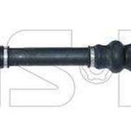 GSP 245131 Aks