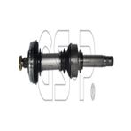 GSP 299003 Aks