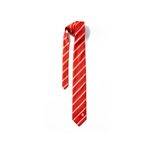 GSStore Galatasaray Kravat *8cm U252350