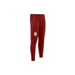 GSStore Galatasaray Puma A Takım Antrenman Eşofman Alt 77968801