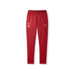 GSStore Galatasaray Puma A Takım Antrenman Eşofman Alt 78289403