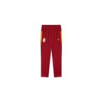 GSStore Galatasaray Puma Çocuk A Takım Antrenman Eşofman Alt 78289501