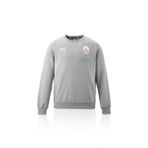 GSStore Galatasaray Puma Kapüşonlu Sweatshirt 65861833, Gri, XS