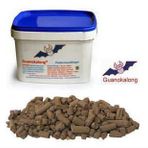 GuanoKalong 1 kg Toz Yarasa Gübresi