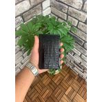 Guard Croco Baskılı Siyah Pasaport Kılıfı