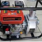Guardino GW80 Benzinli Su Motoru