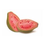 GUAVA MEYVESİ TOHUMU