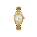 Guess Collection GCZ20008L1MF Altın Kadın Kol Saati