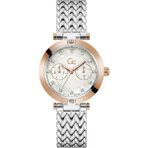 Guess Collection GCZ21006L1MF Metalik Gri Kadın Kol Saati