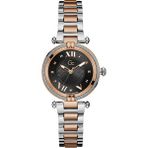 Guess Collection GCZ24002L2MF Metalik Gri Kadın Kol Saati