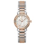 Guess Collection GCZ49001L1MF Kadın Kol Saati