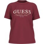 Guess Kadın TIŞÖRT-V6RI05I3Z14 - L
