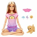 Gülce Design Barbie Meditasyon Yapıyor Oyun Seti HHX64 Kız Erkek Çocuk Oyuncak Eğitici Oyuncaklar
