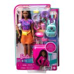 Gülce Design HGX55 Barbie Brooklyn Seyahatte Bebeği ve Aksesuarları Kız Erkek Çocuk Oyuncak Eğitici Oyuncaklar