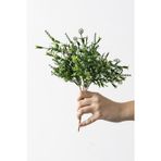 Güleç Yapay Çiçek Yapay Kabak Çiçeği Demeti Yeşil 30 Cm 5 Dal