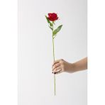 Güleç Yapay Çiçek Yapay Kadife Gül Tek Dal Kırmızı 50 Cm Çok Renkli