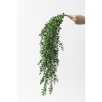 Güleç Yapay Çiçek Yapay Okaliptus Sarmaşık Uv Korumalı Koyu Yeşil 90 Cm 5 Dal Çok Renkli