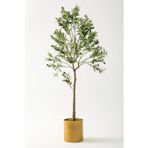 Güleç Yapay Çiçek Yapay Zeytin Ağacı 175 Cm Gold Metal Saksı
