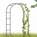 Güller ve Tırmanma Bitkileri için Metal Bahçe Kemeri Dış Mekan Bahçe Dekorasyonu ve Parti Balonu Dekorasyonu Siyah 2,8 m x 2,2 m (9,3 ft x 7,2 ft)