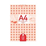 gülpaş 144 a4 teknik resim defteri bloknot 30 yaprak (12 li paket) - Yok