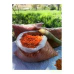 GÜLTEKİN BAL KÖY KIRMIZI MERCİMEK 1 KG TYCYX88ZLN171580516308666