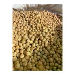 GÜLTEKİN BAL NOHUT 5 KG TYCPBPYOMN170317407620960