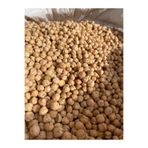 GÜLTEKİN BAL NOHUT KÖY 1 KG