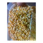 GÜLTEKİN BAL Patlatmalık Mısır 1 Kg