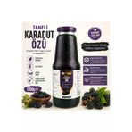 GÜLTEKİN BAL TYC1C31F6BF86E3B278C04600 Taneli Karadut Özü 1350 Gram