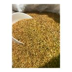 GÜLTEKİN BAL Yerli Susam 500 Gram